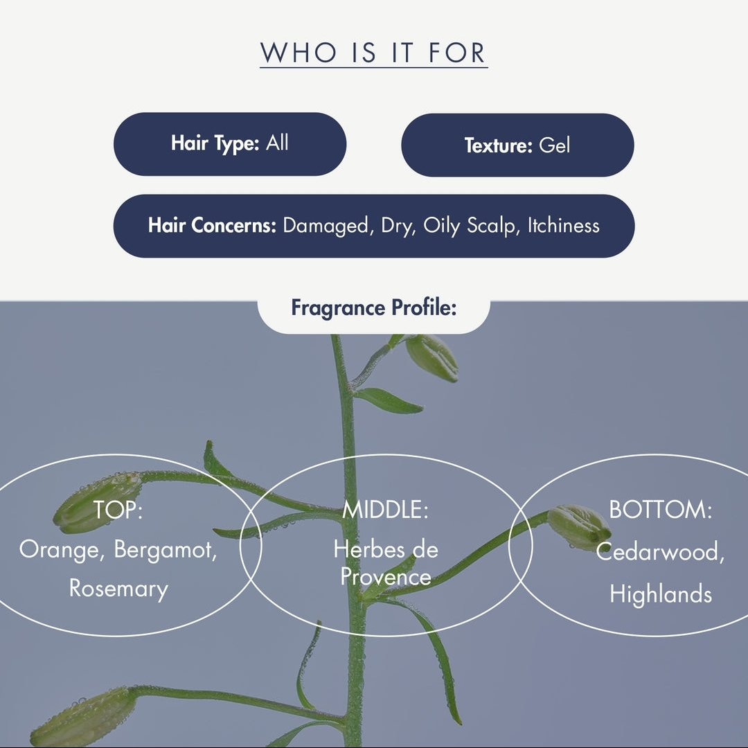 treecell Night Collagen Shampoo