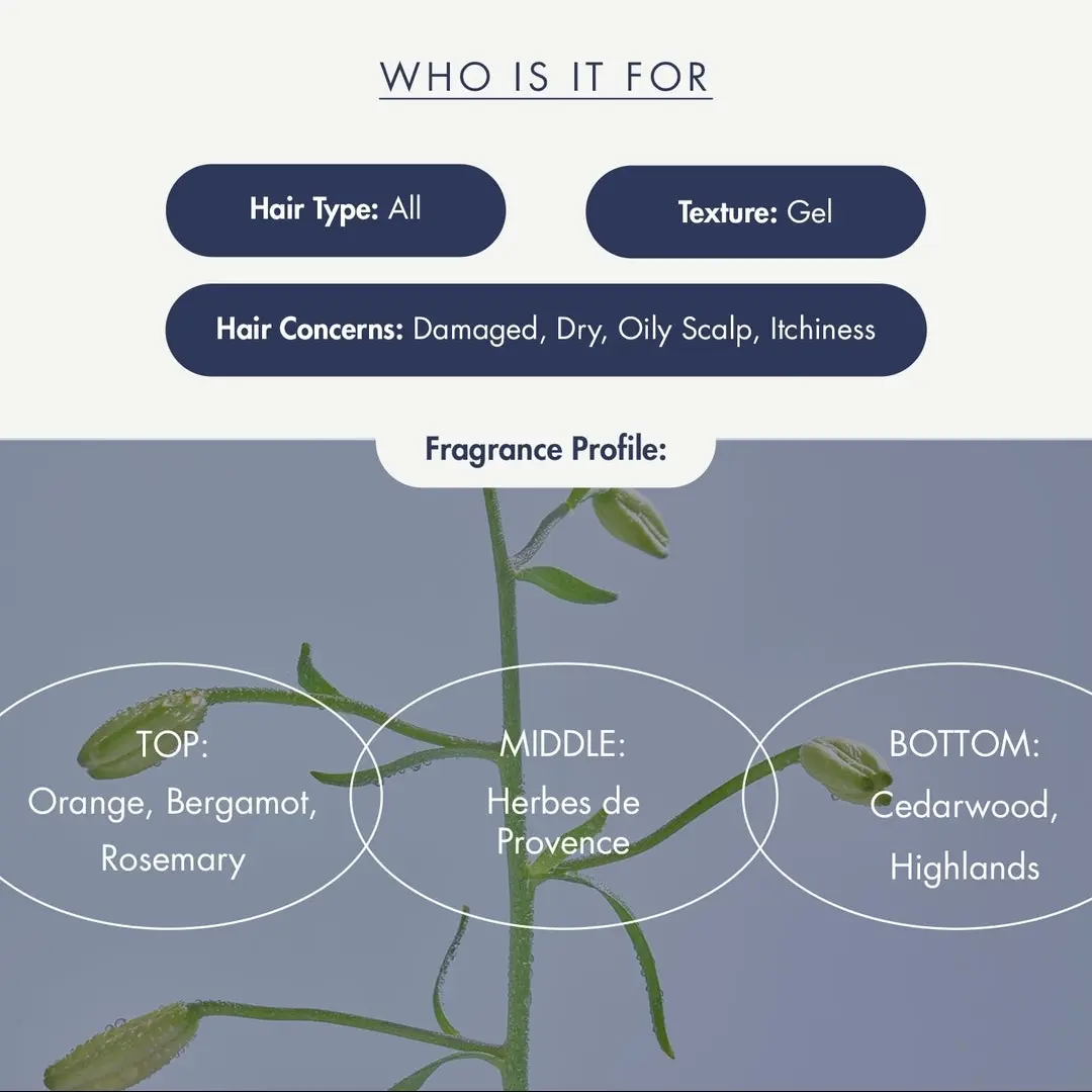 treecell Night Collagen Shampoo