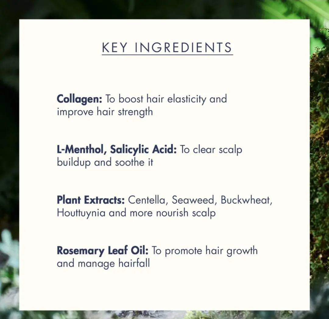 treecell Night Collagen Shampoo